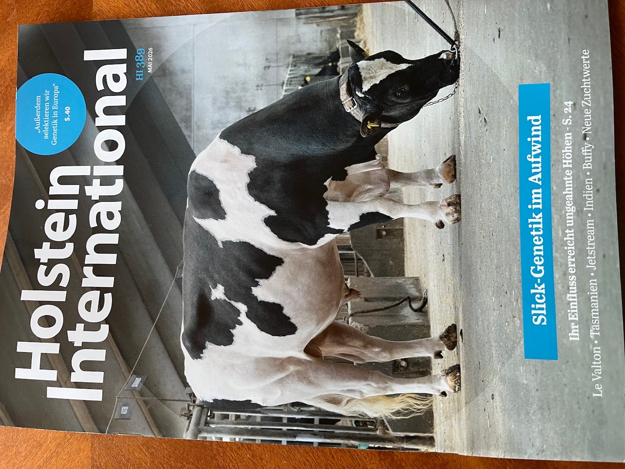 Holstein Interanational 202605